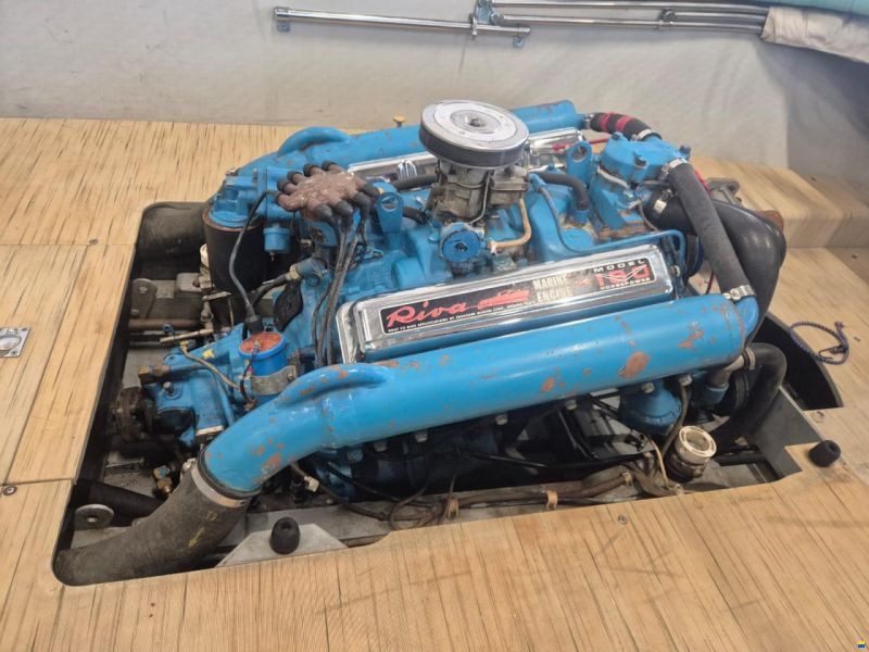 Riva Junior
