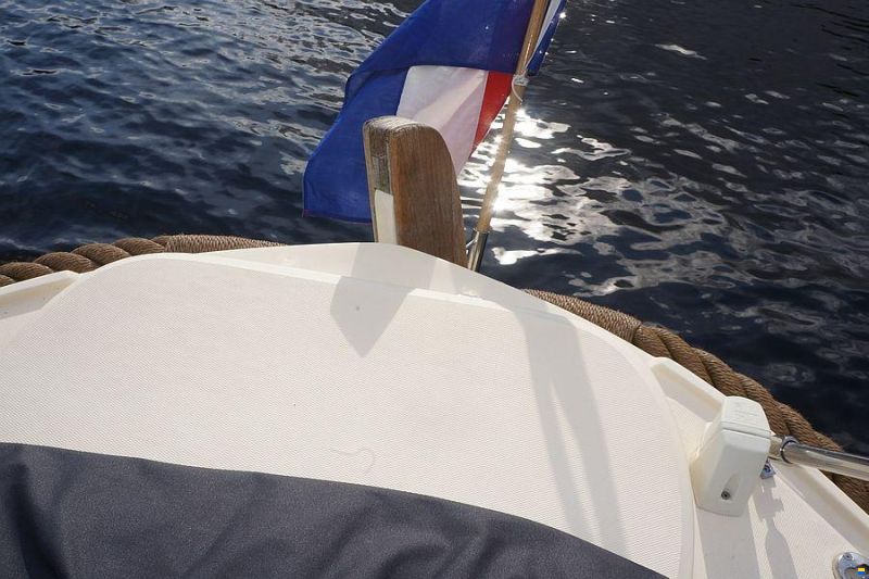 Albatros 21