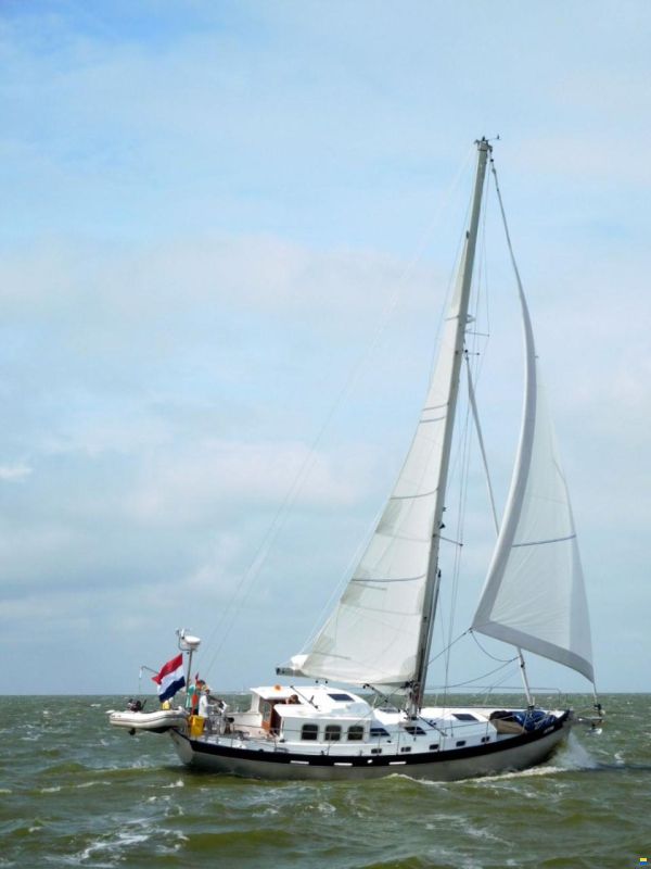 Noordkaper 43
