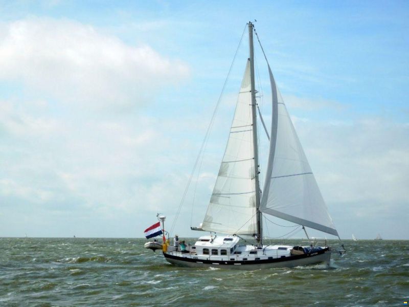 Noordkaper 43