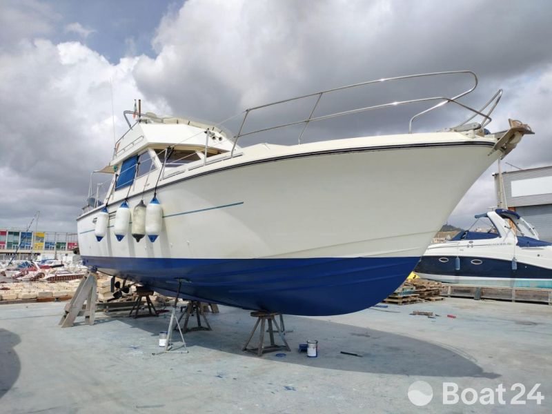 Princess 37