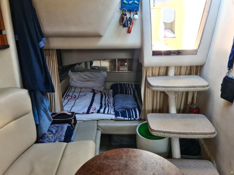 Sea Ray 300/335