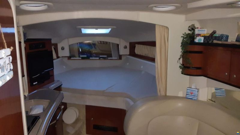 Sea Ray 300/335