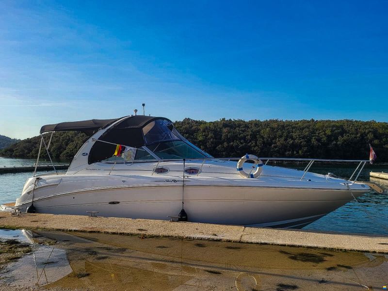 Sea Ray 300/335