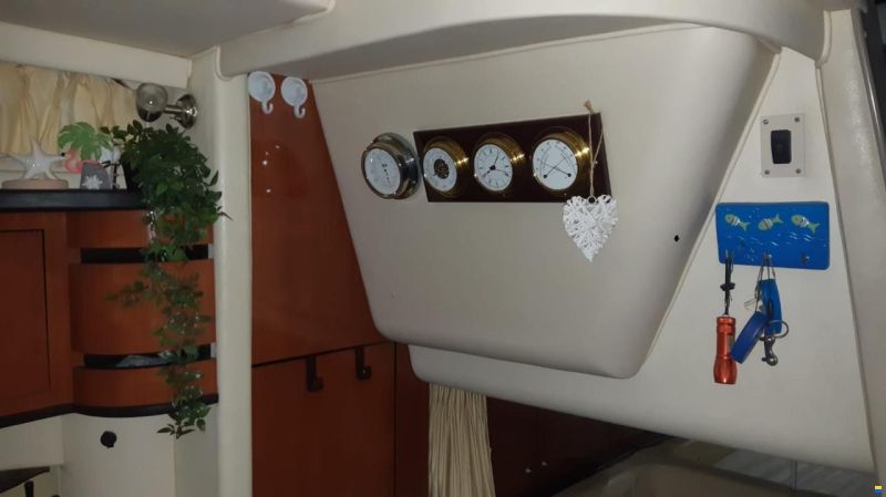 Sea Ray 300/335