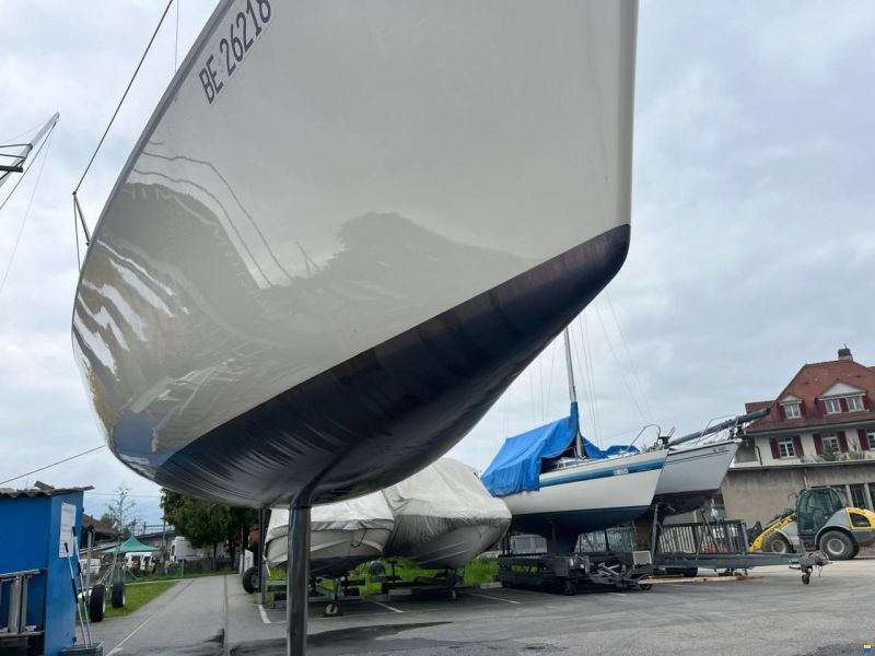 Maxi Dolphin Dolphin 81