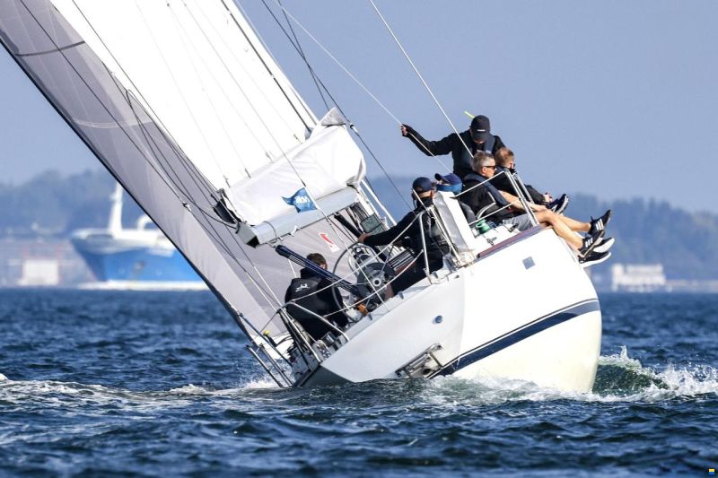 Bianca 414