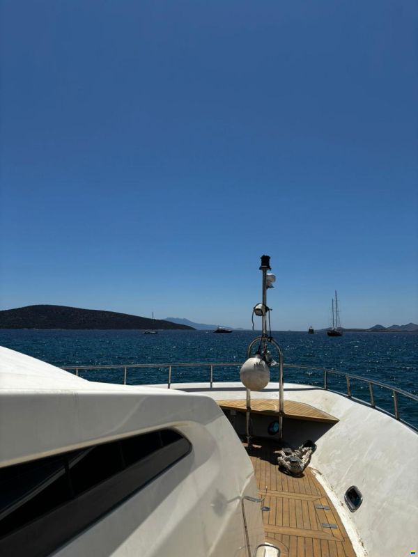 Numarine 102