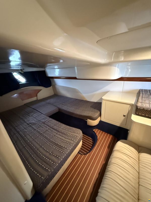 Cranchi Endurance 41
