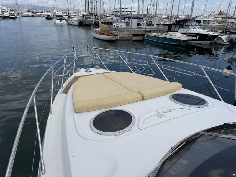 Cranchi Endurance 41
