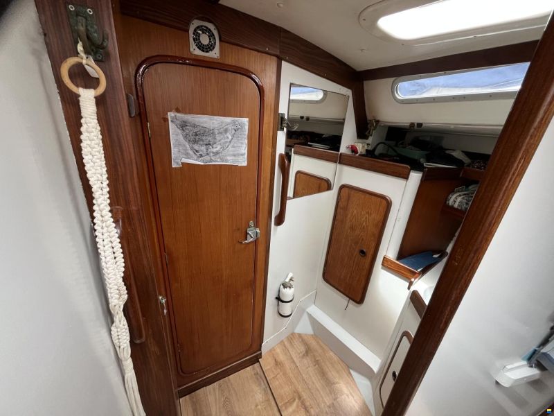 Dromor Triton 48