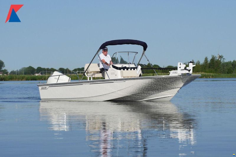 Boston Whaler 210 Montauk