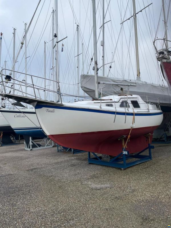 de Kloet Midget 26