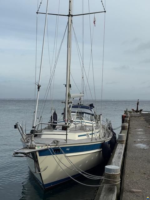 Malö 42