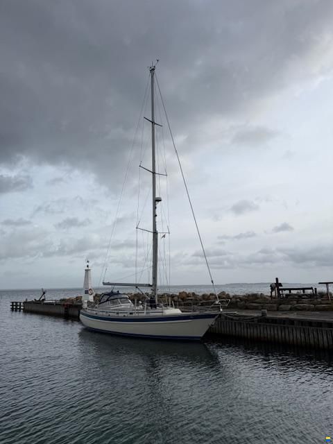 Malö 42
