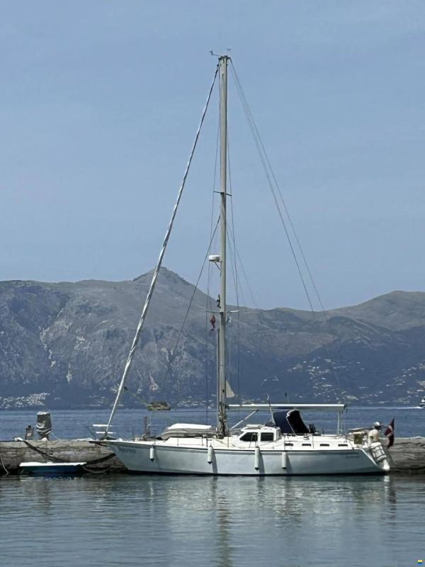 Scandi 42