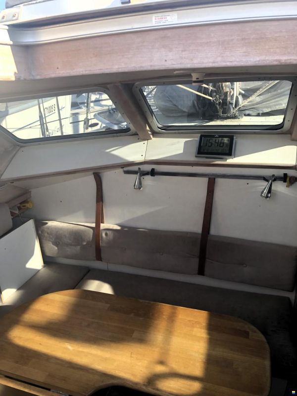 Scandi 42