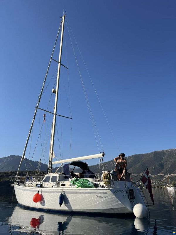 Scandi 42