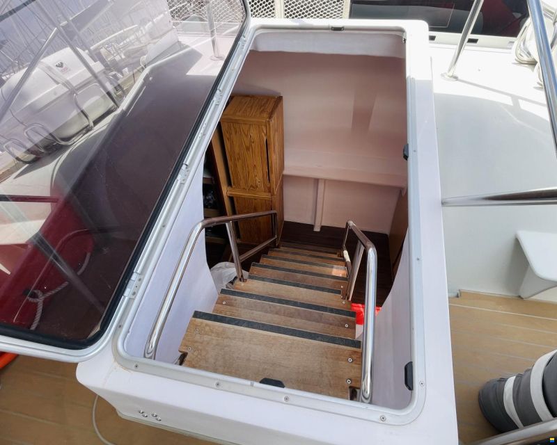 Ocean Voyager 64