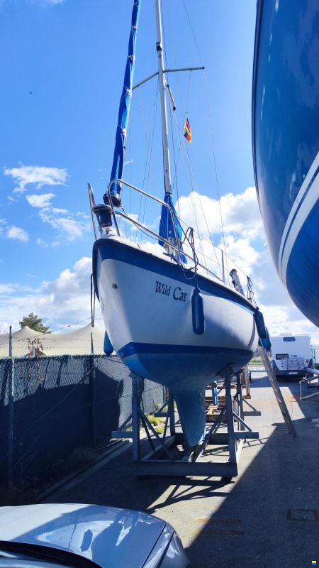 Hurley Marine Hurley 800