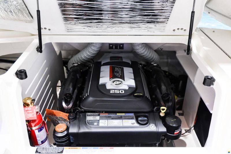 Sea Ray Sun Sport 250 Europe