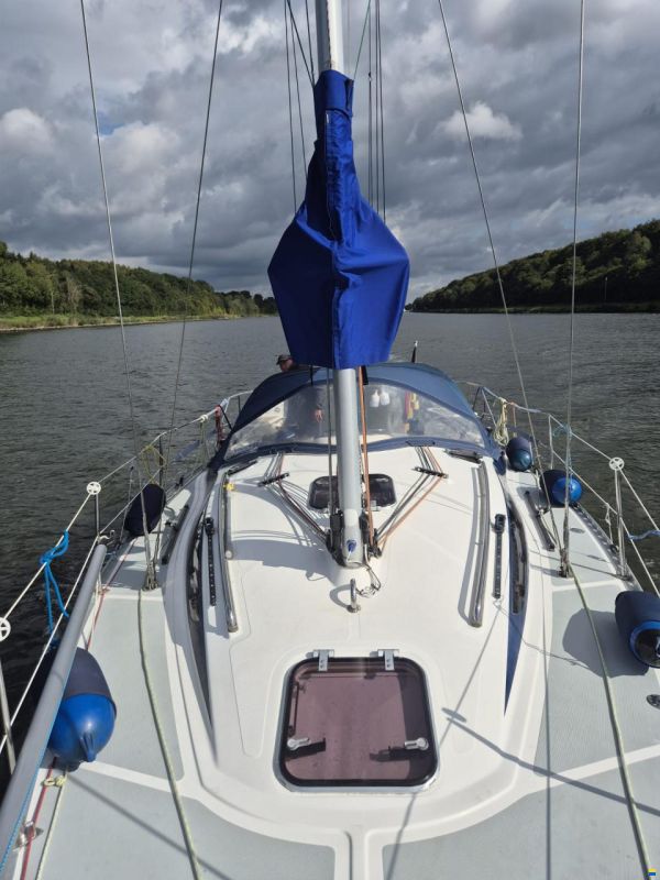 Tango 30