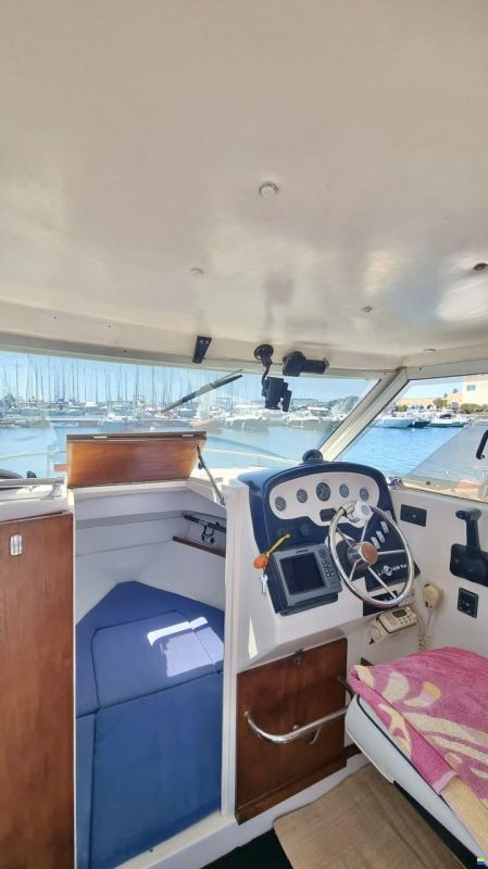 Rio 650 Cabin Fish