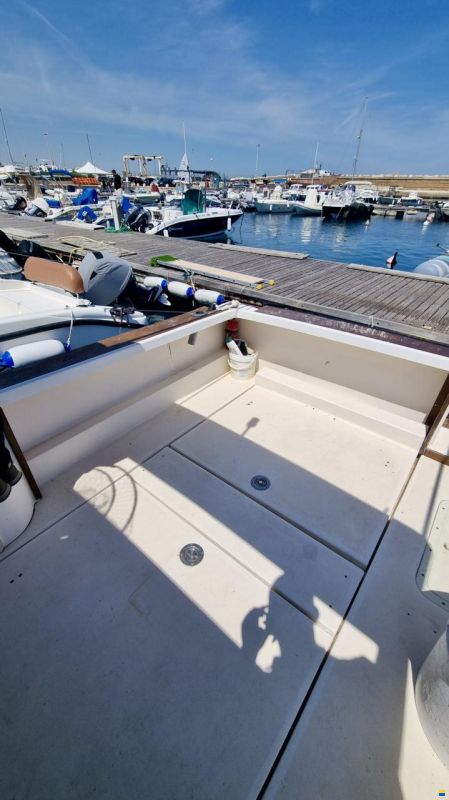Rio 650 Cabin Fish