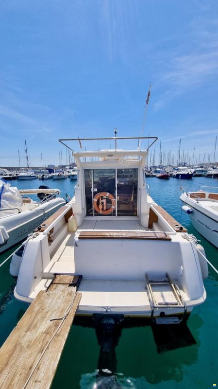 Rio 650 Cabin Fish