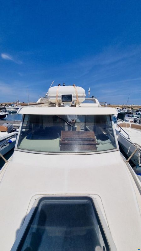 Rio 650 Cabin Fish