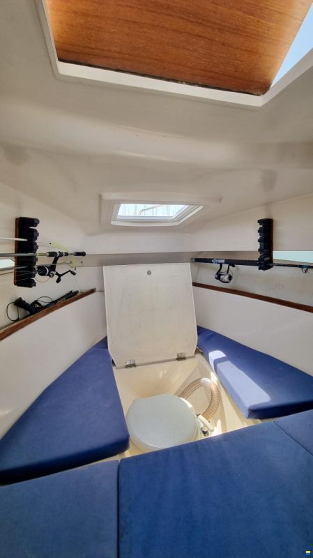 Rio 650 Cabin Fish