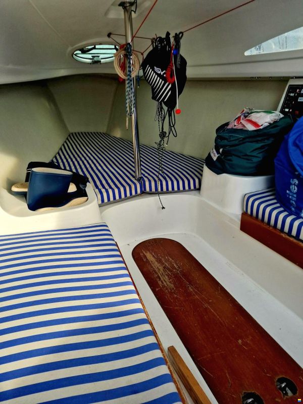 Archambault Surprise