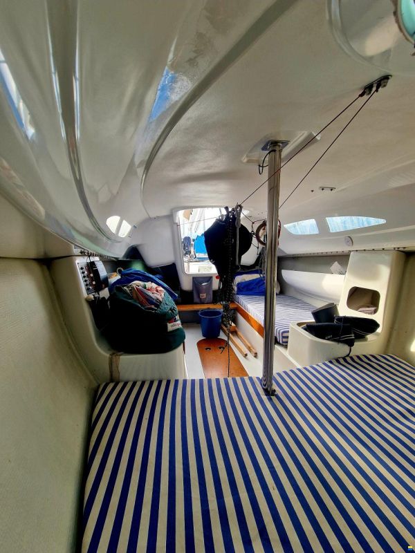 Archambault Surprise