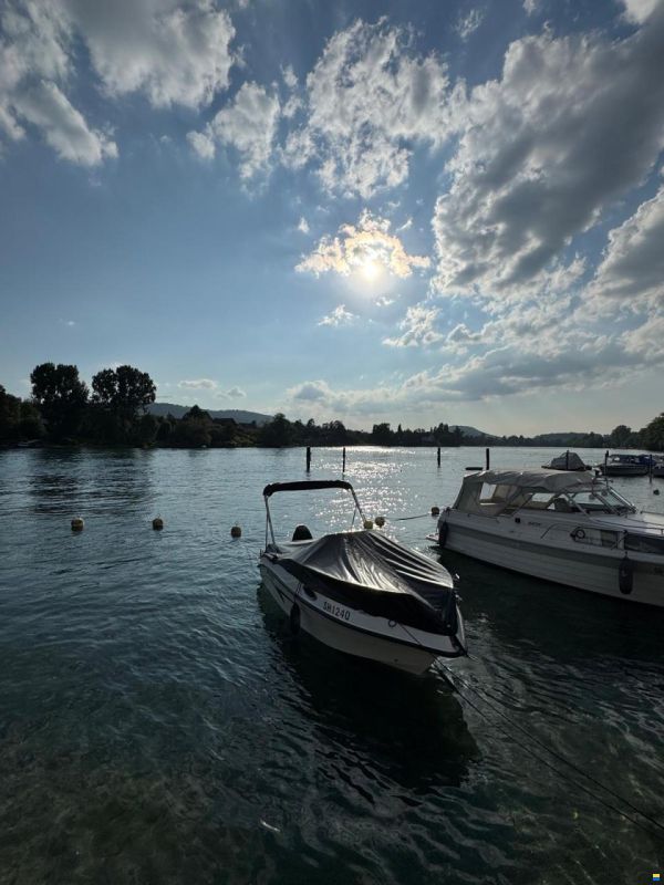 Nireus Omega 53 Elegance