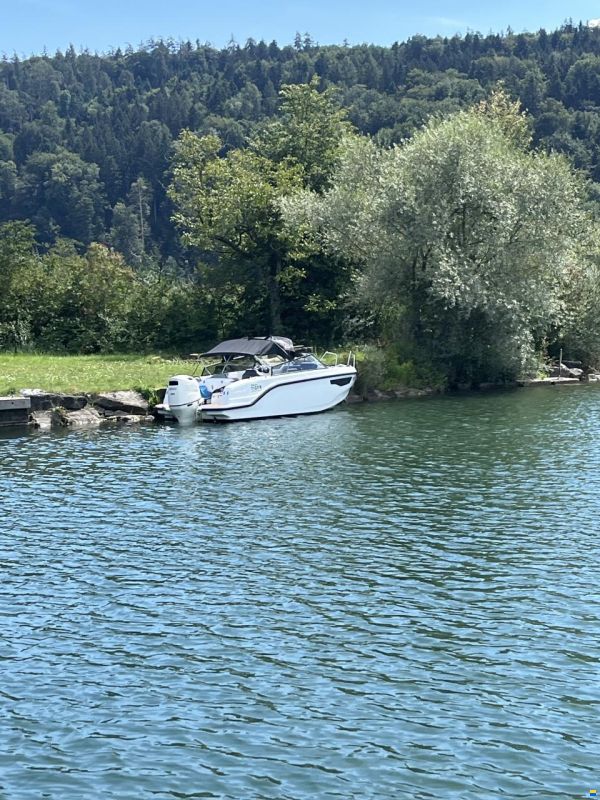 Silver Tiger DCz - Petestep®