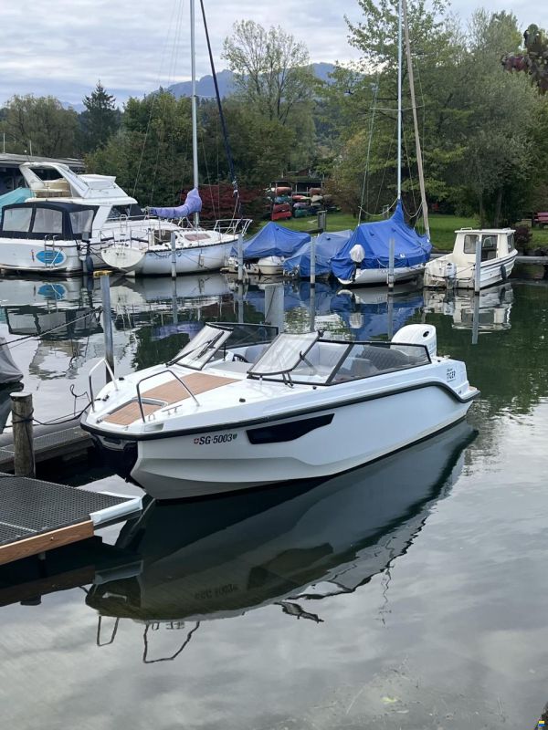 Silver Tiger DCz - Petestep&reg;