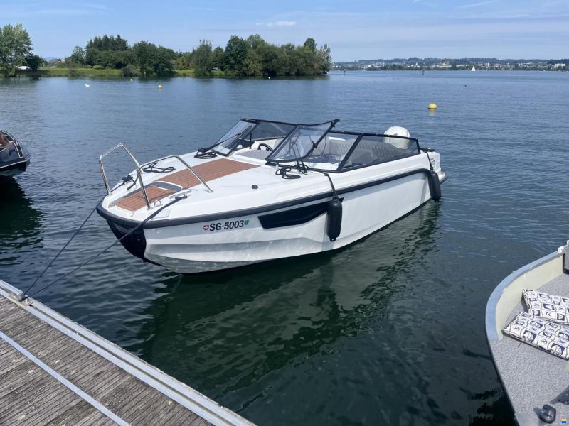 Silver Tiger DCz - Petestep®