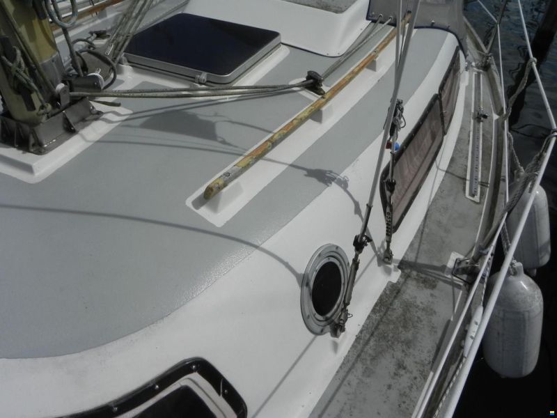 Mistral Sirocco 31
