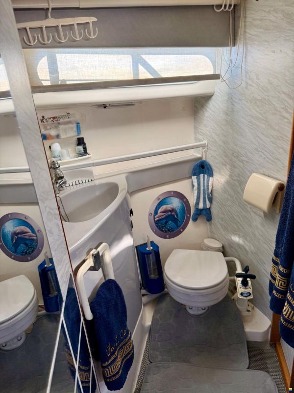 Sealine 290