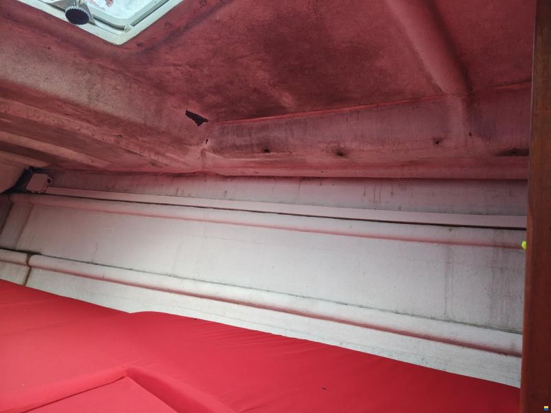 Quéré / Super Arlequin