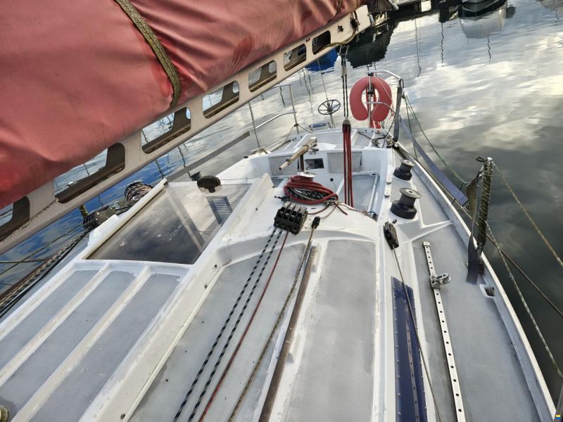 Quéré / Super Arlequin