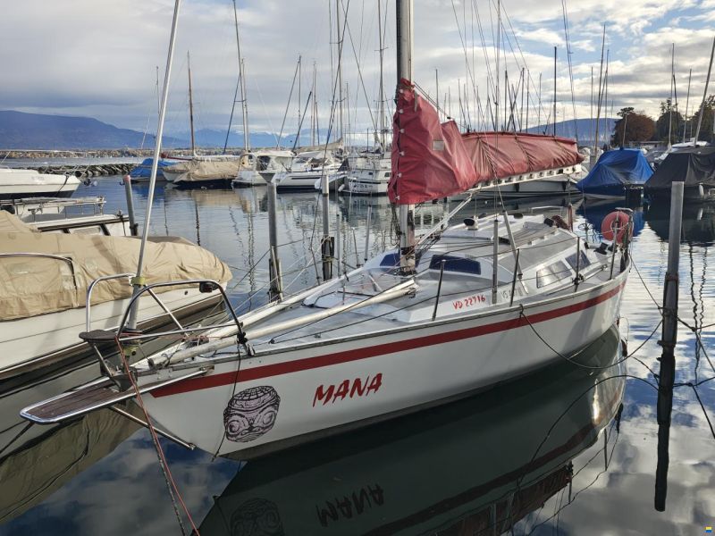 Quéré / Super Arlequin