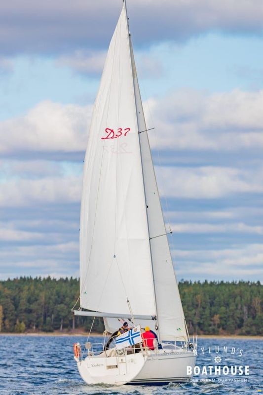 Delphia D37