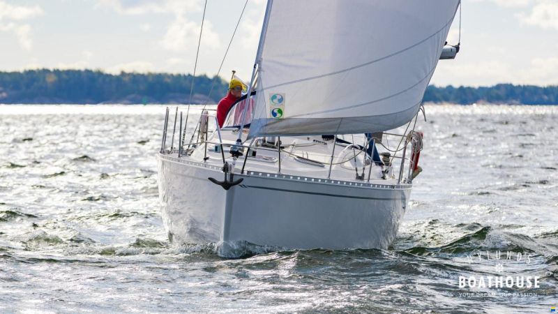 Delphia D37