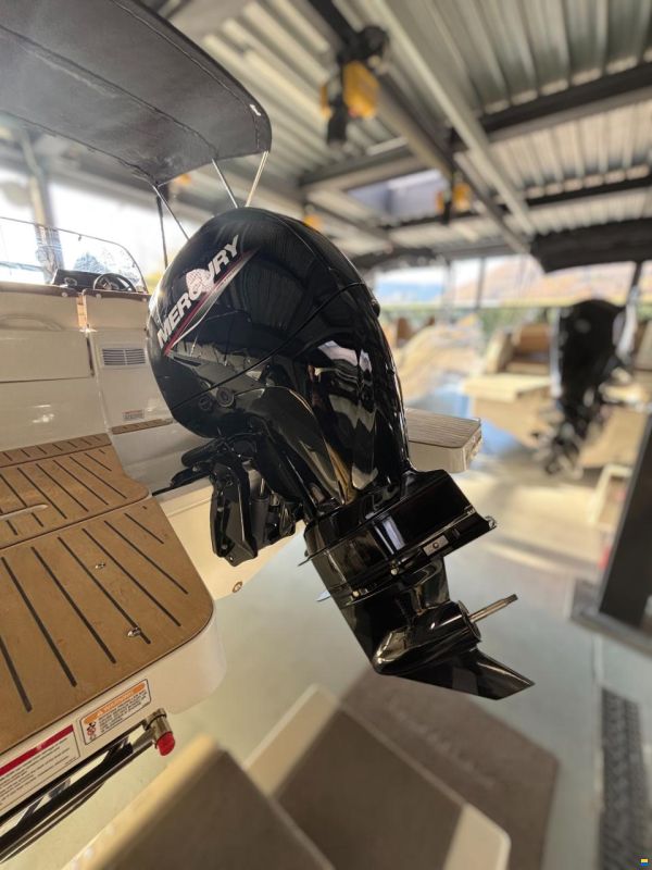 Quicksilver 605 Sundeck