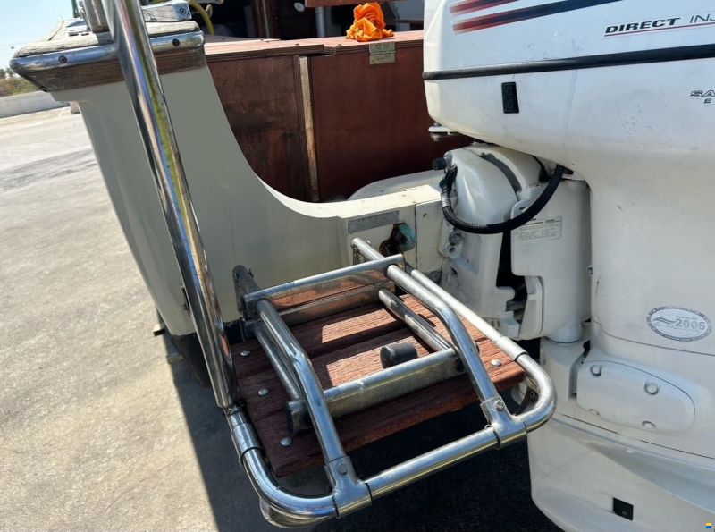 Boston Whaler Revenge 22