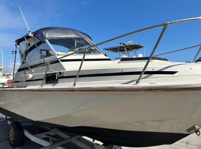 Boston Whaler Revenge 22