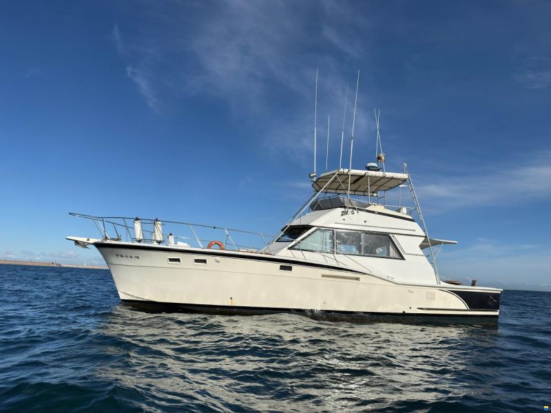 Hatteras 46 Convertible
