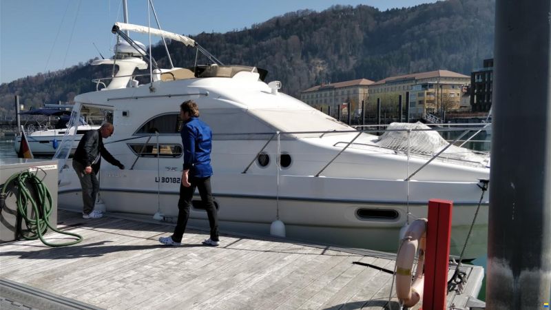 Sealine F33
