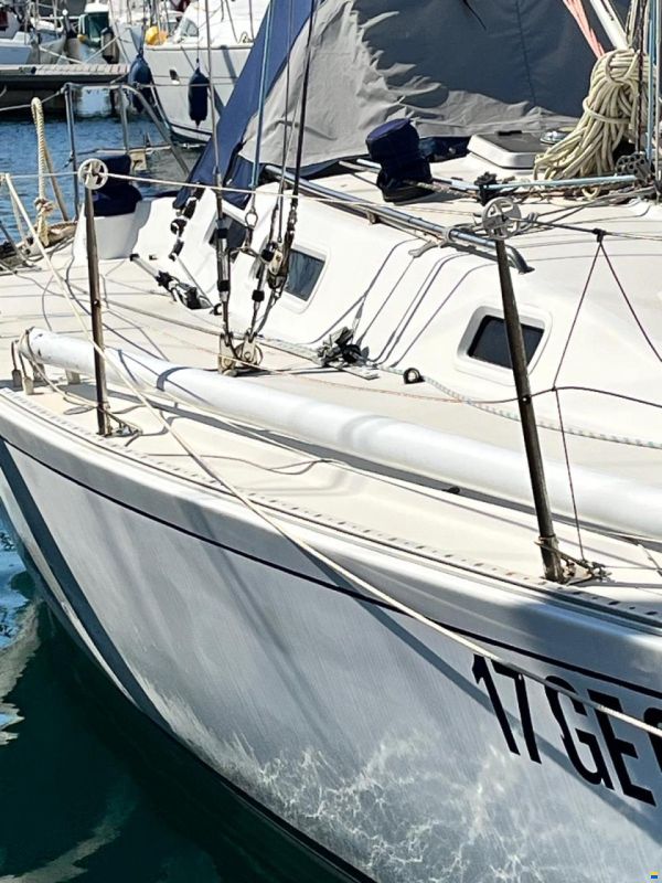 J Boats J39